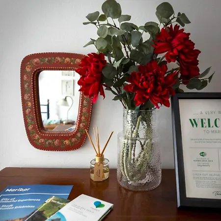 Apartamento Vera's Nest In The Old Town *